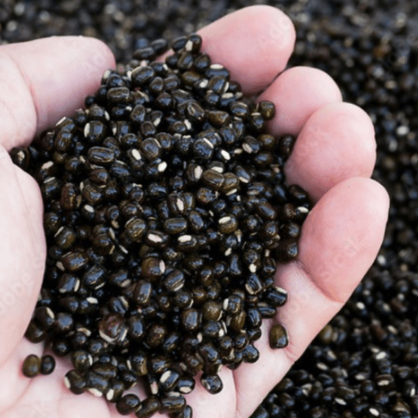 Black Urad Dal / கருப்பு உளுந்து
