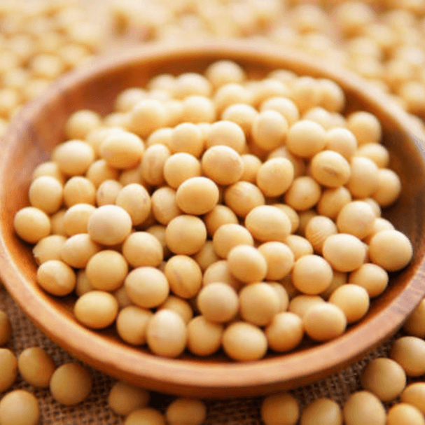 White Peas / வெள்ளை பட்டாணி